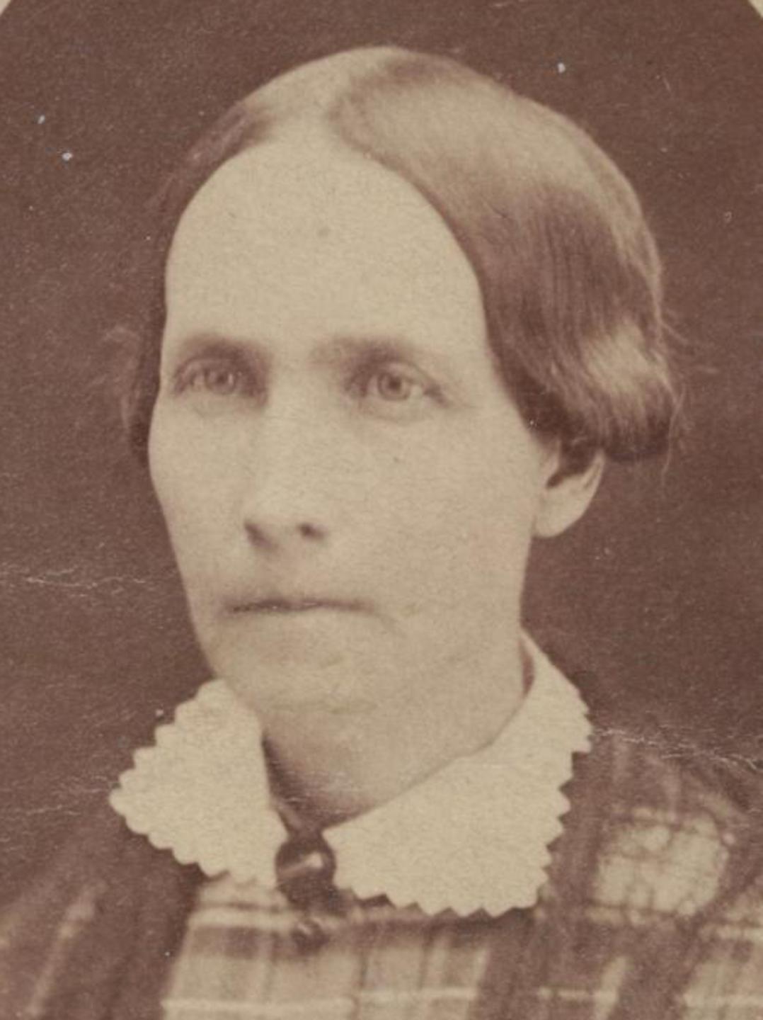 Elizabeth Lippencot Burr (1831 - 1906) Profile